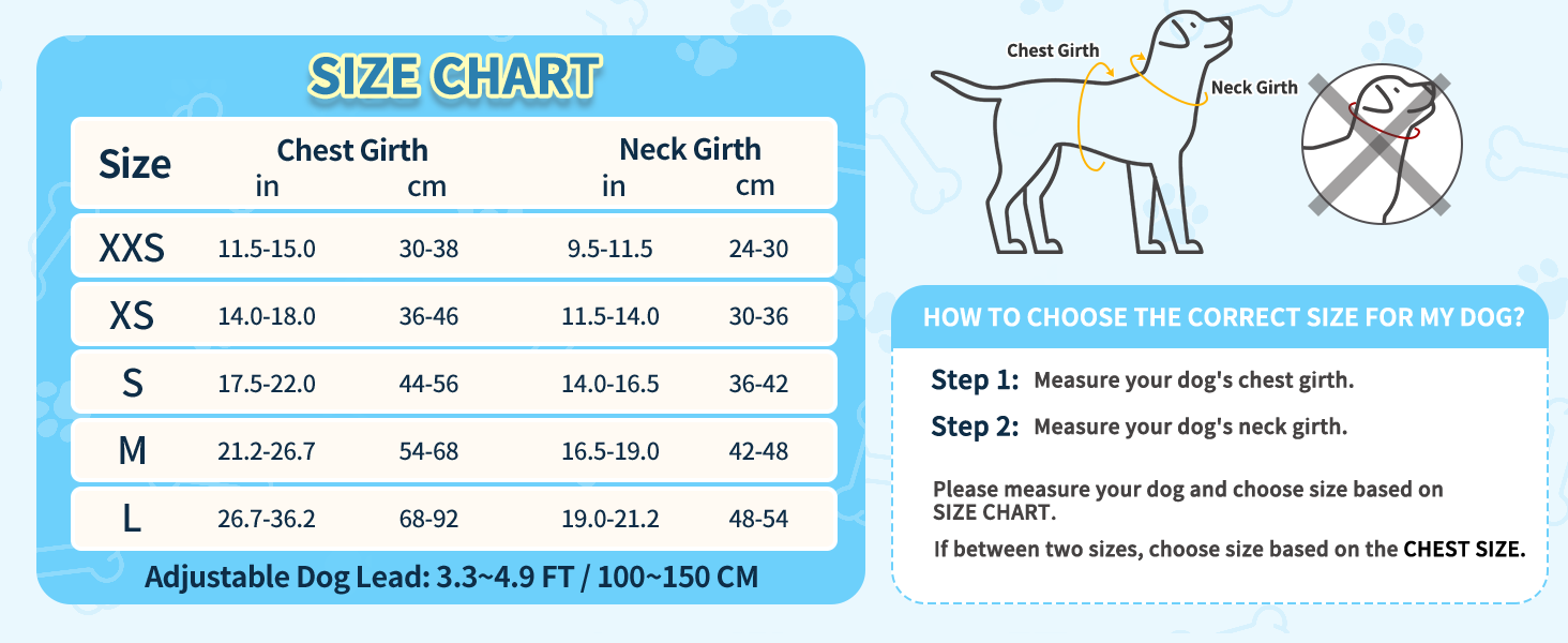small dog harness leash set for small dogs
