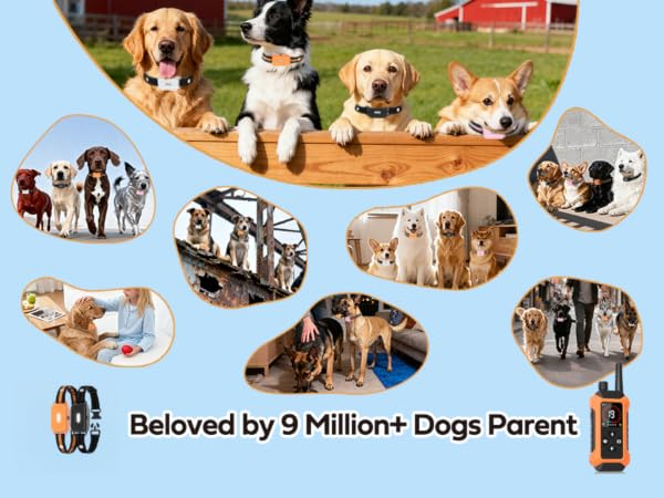 dog training collar with remote for 2 dogs