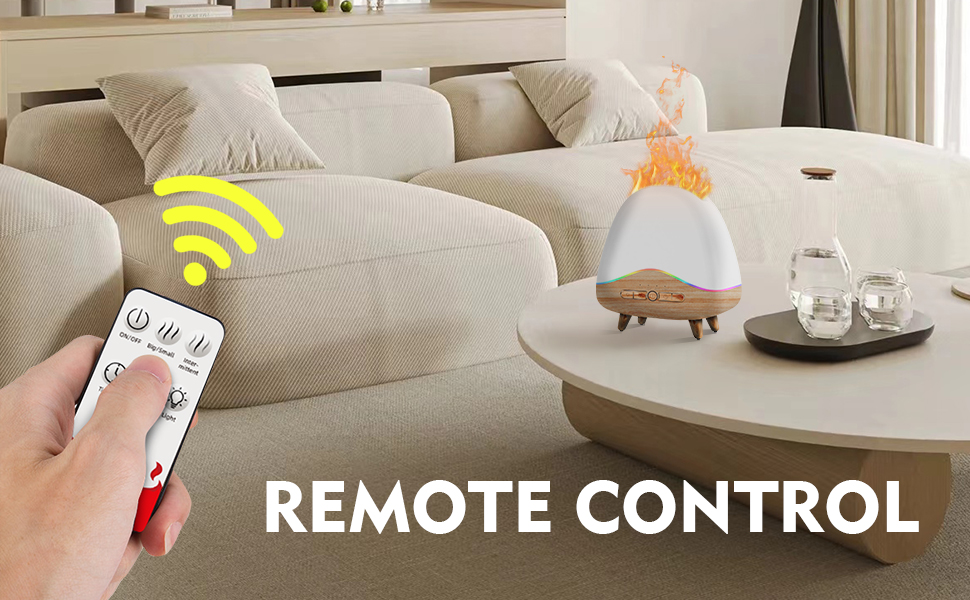 remote control function