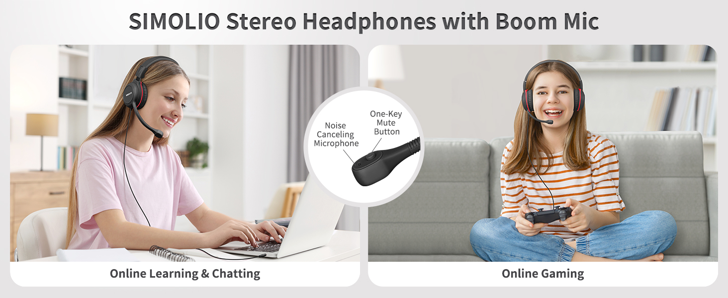 Stereo Headphones with Boom Mic