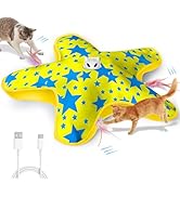 ddxcoo Interactive Cat Toys for Indoor Cats with Moving Concealed Feathers | Rechargeable Automat...