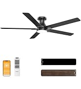 DAMINY 52 inch Black Ceiling Fans with Lights,5 Blades,6CCT, Low Profile,Remote Control,for Bedro...