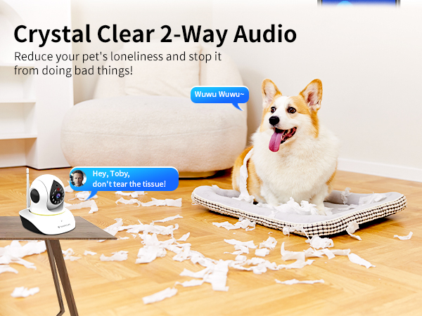auto tracking camera