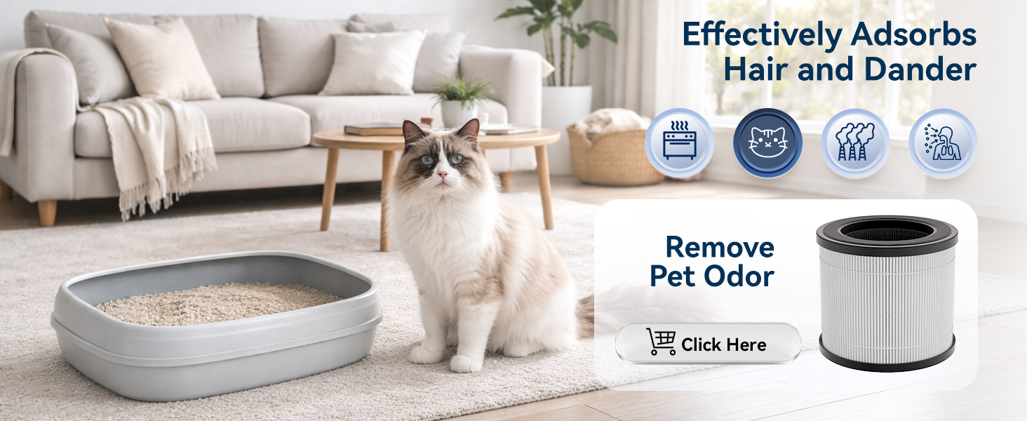 Air Purifiers for Home