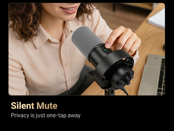 Desktop Microphone