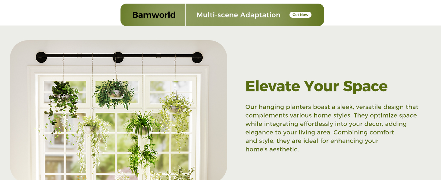 Plant Hanger Indoor