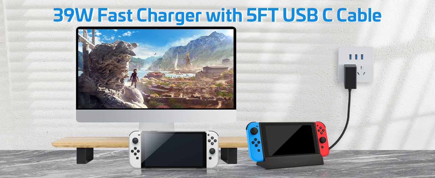 nintendo switch charger