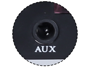 AUX Input Interface