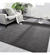 FlyDOIT Area Rugs for Bedroom Living Room, 4x6 Dark Grey Super Soft Comfy Thickened Memory-Foam I...