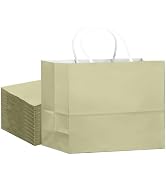 qiqee 24PCS Large Gift Bag with Handles Bulk 13