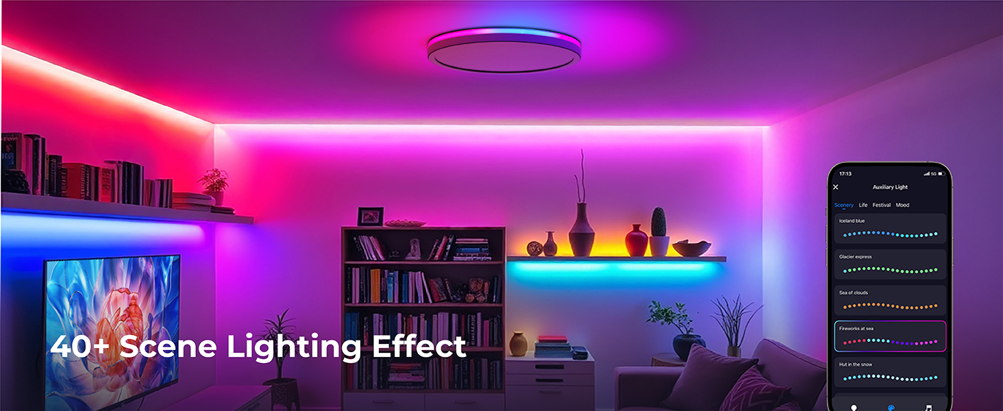 alexa ceiling light