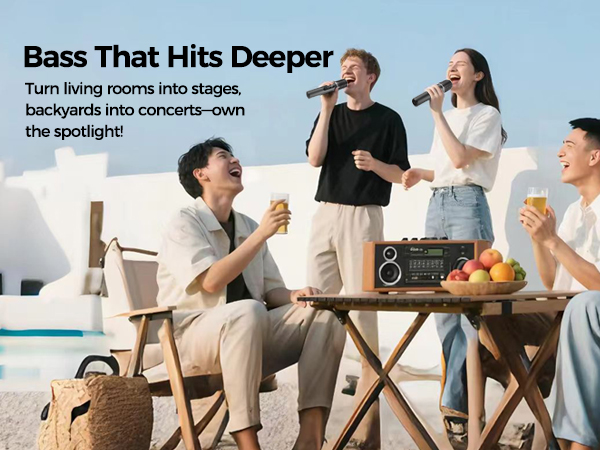 Wireless Microphone