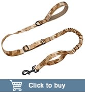 Large Dog Leash