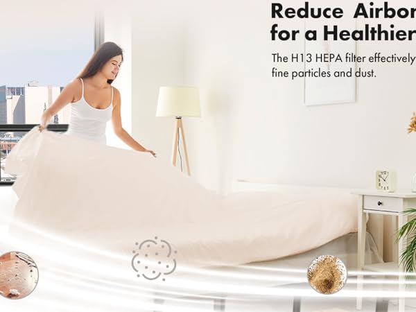 Air Purifier for Home