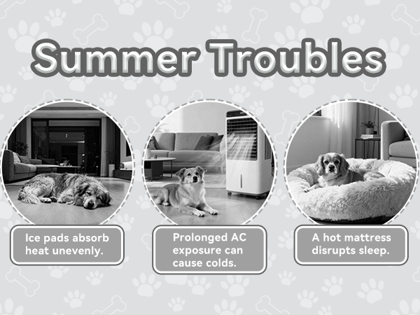 cooling bed for dogs