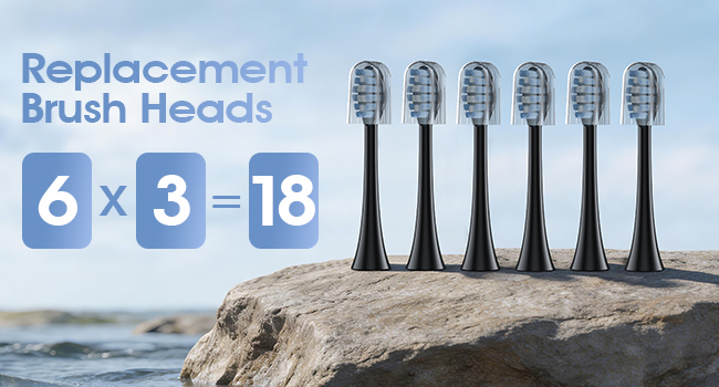 Travel Toothbrush with 6 Brush Heads