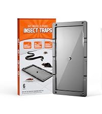 https://m.media-amazon.com/images/I/41ey5h3tXdL.__AC_SR200,225___.jpg