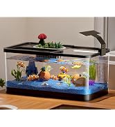 5.3 Gallon Fish Tank, 9 in 1 Betta Fish Tank, Aquarium with LED Full Spectrum 3 Color Light, 3 Mo...