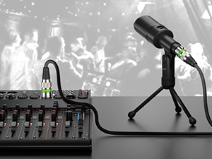 XLR Cable