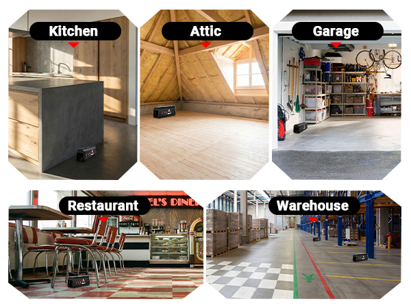 Kitchen?Attic?Garage?Restaurant?Warehouse
