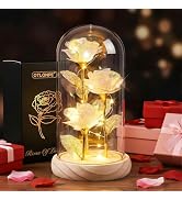 Otlonpe Mothers Day Flowers Gifts for Mom from Daughter Son, Preserved Forever Glass Light Up Ros...