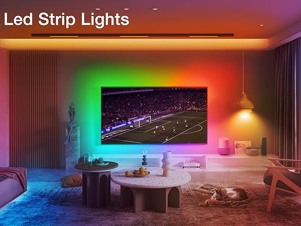 LIGHT TV