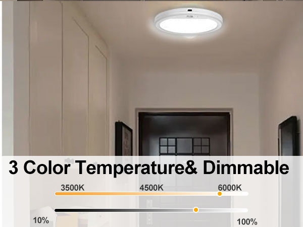 wireless ceiling light