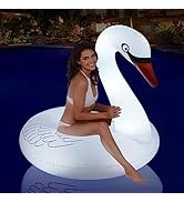 Swan Pool Float