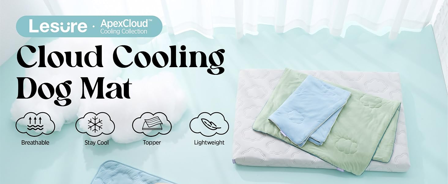 ApexCloud