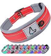DOG COLLAR