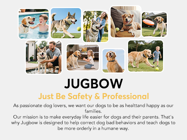 jugbow dog shock collar