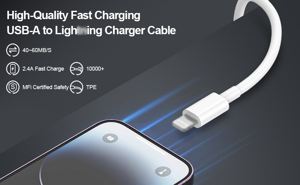 Apple iPhone Charger Cable