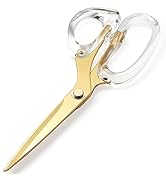 OfficeGoods Acrylic & Stainless Steel 9" Scissors - Modern Design for the Stylish Home, Office, o...