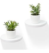 MITREL Small Wood Floating Shelves (2-Pack, 6-inch Diameter) - Round Sturdy Invisible Wall Mount ...