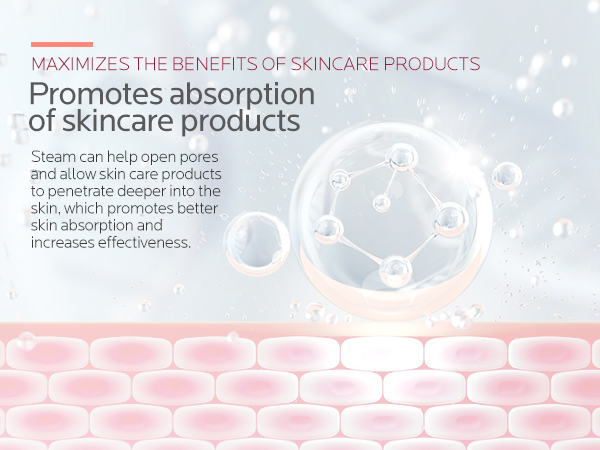 face steamer for facial
