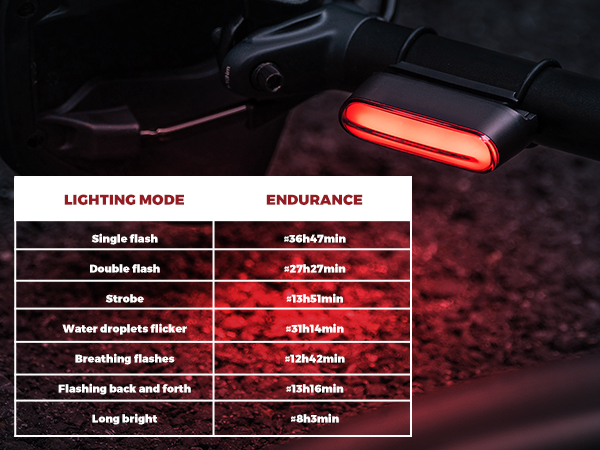 Tail Light