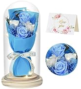 HVY Flowers Gifts for Her Mom Women Preserved Forever Fresh Flowers Bouquet with Blue and White R...