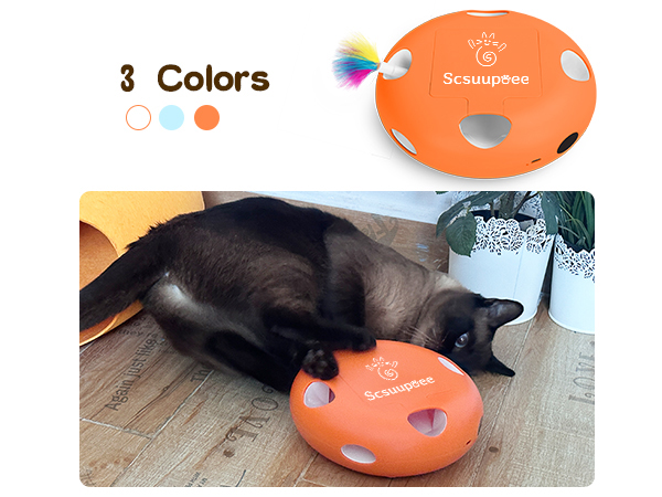 cat toys