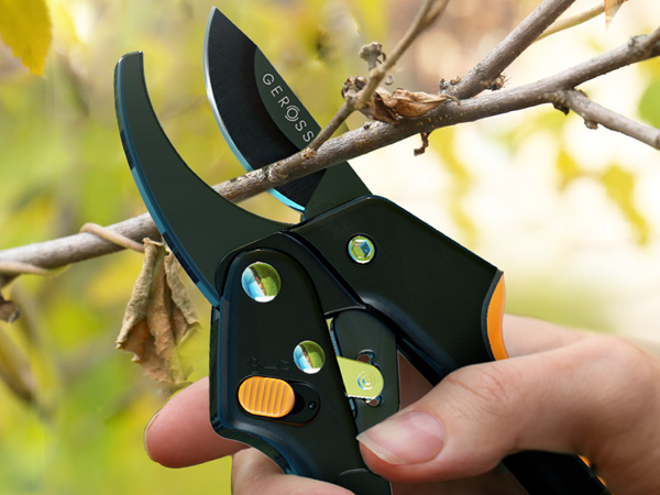 Tree trimming