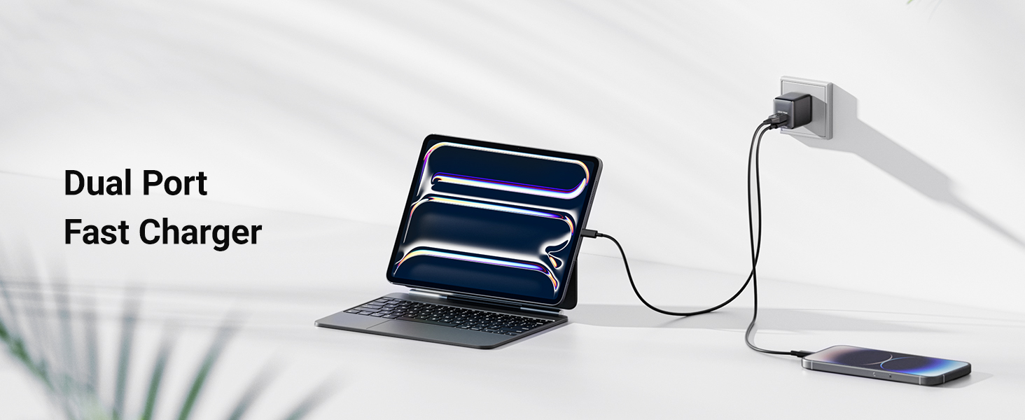 dual port fast charger
