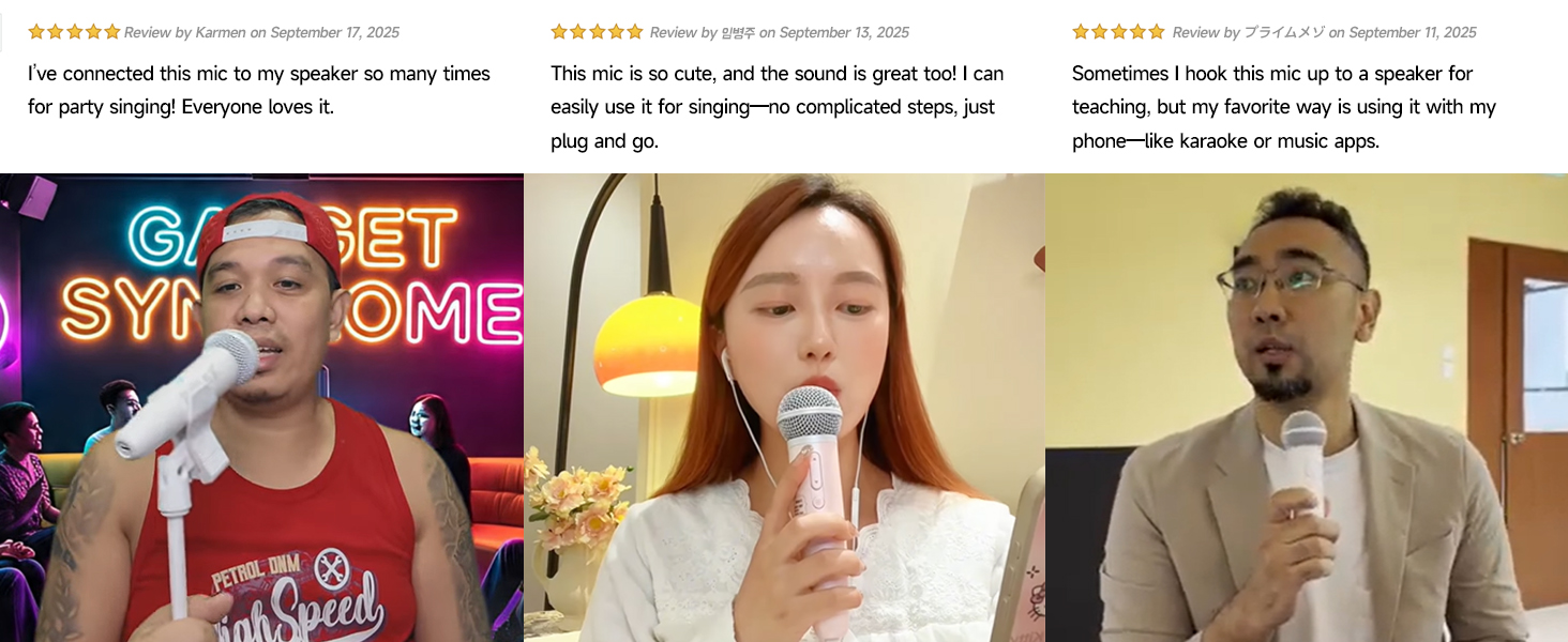 mic with stand