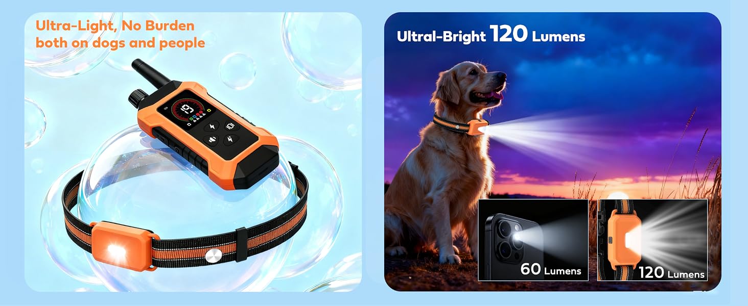 electrical dog collar with remote control