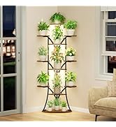 Plant Stand Indoor with Grow Lights-63'' Tall Plant Shelf, Corner Plant Stands for Indoor Growing...