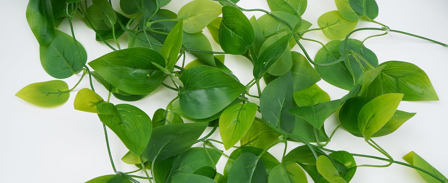 leaves details