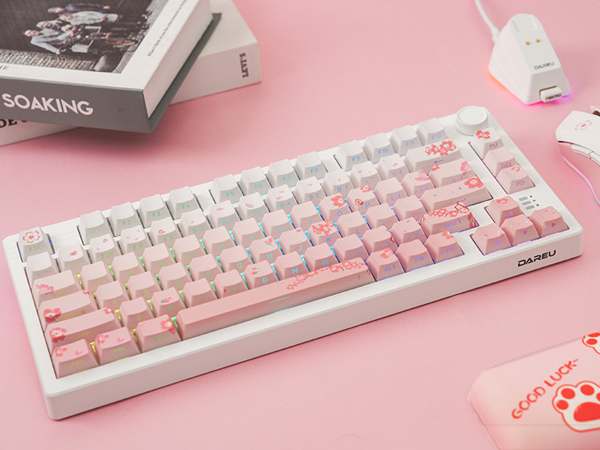 pink gaming keyboard and mouse