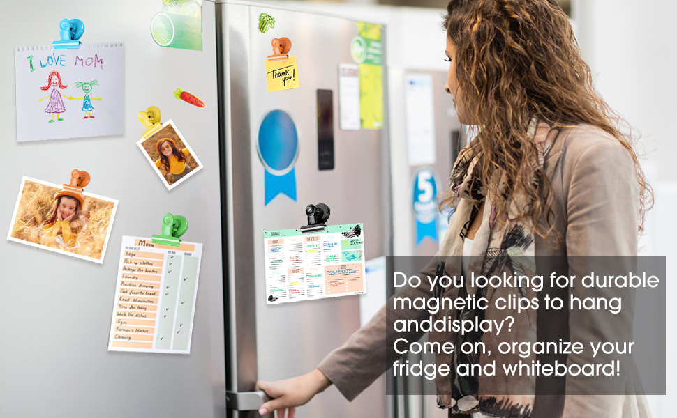 Fridge Magnets
