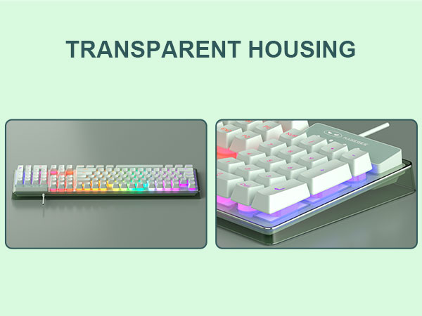 Transparent Housing