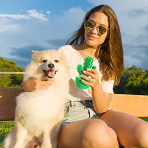 Durable Interactive Dog Toys