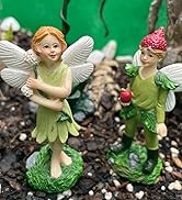 Fairy Garden