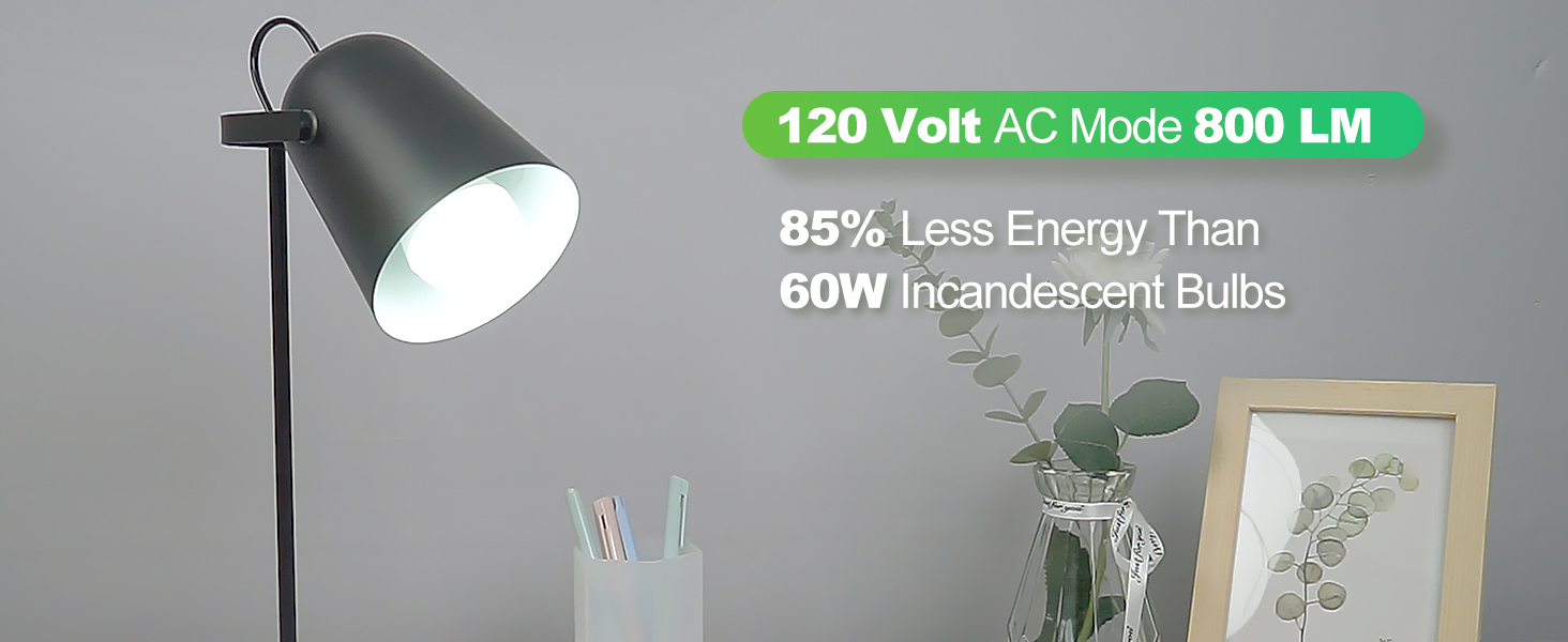 Rechargeable Light Bulb